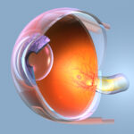 Retinal Disease Specialist Hoffman Estates, Palatine & Schaumburg