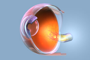 Retinal Disease Specialist Hoffman Estates, Palatine & Schaumburg