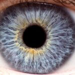 What You Should Know About Your Cornea - Hoffman Estates, IL